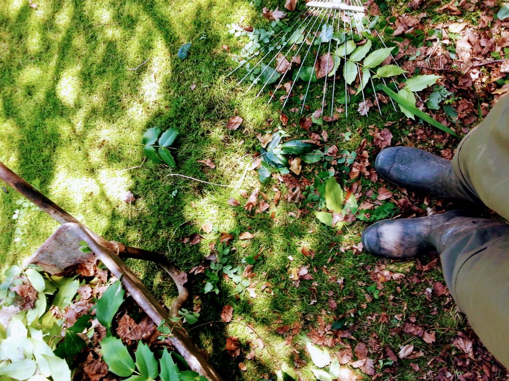Gardener in Stroud garden maintenance